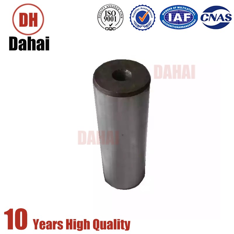 Dahai Japan Terex TR100 Pin Ride Cylinder 15000838 for Terex Parts 