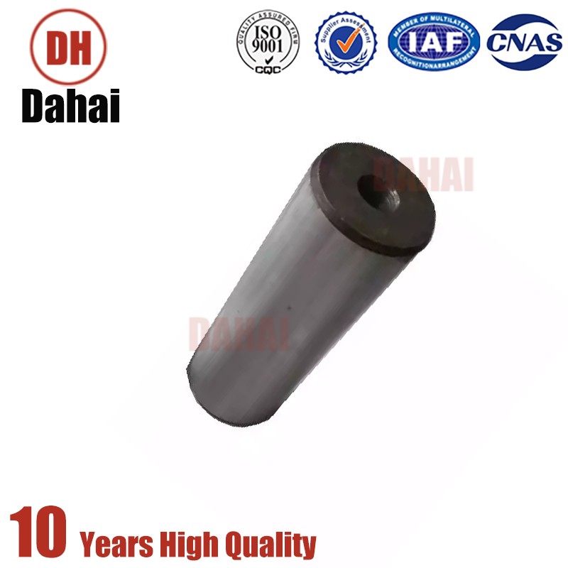Dahai Japan Terex TR100 Pin Ride Cylinder 15000838 for Terex Parts 