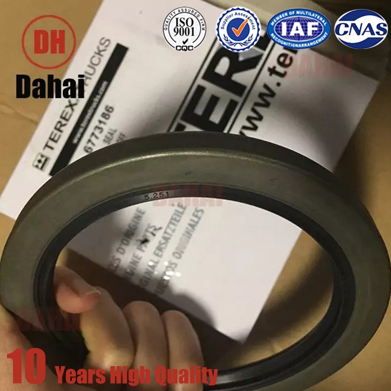 DAHAI Japan Brand Terex chassis parts Terex seal 6773186 TR100 for terex