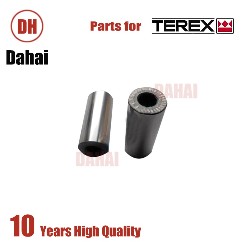 DAHAI Japan Service Piston Machl 15231497 for Terex TR100 Parts