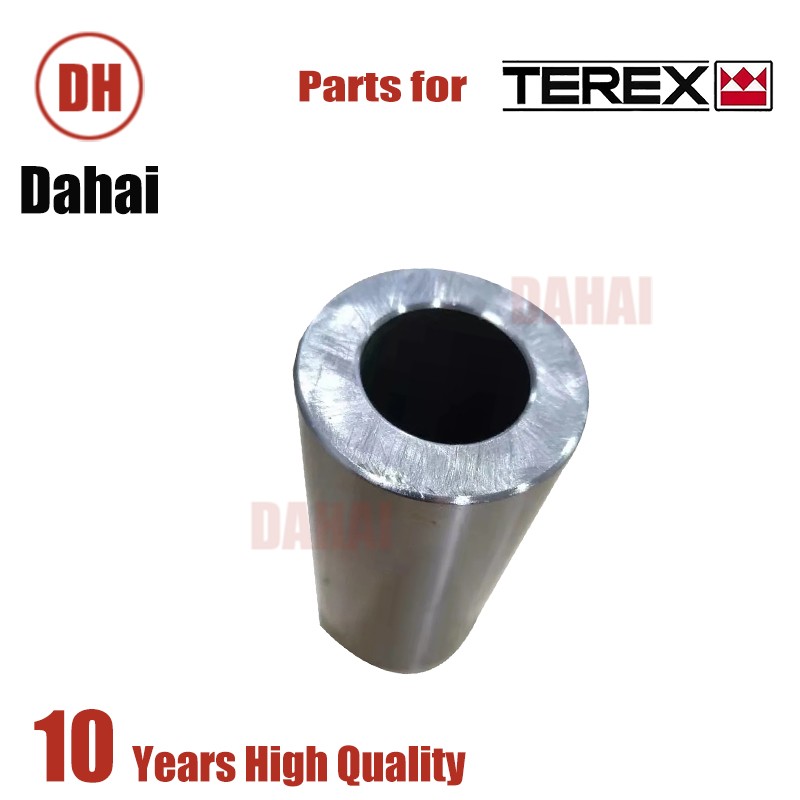 DAHAI Japan pin-planetary 15233267 for Terex TR100 Parts