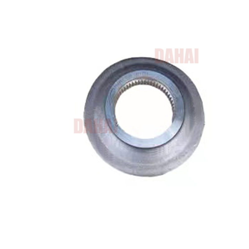 DAHAI Japan plate 6776185 for Terex TR100 Parts