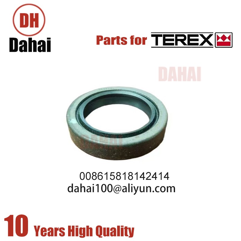 DAHAI Japan seal 23016325 for Terex TR100 parts
